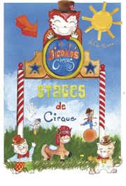 Stage de cirque Chapiteau Cirque Diaboloscircus Affiche