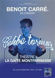 Benoît Carré dans Celibatorium Gait Montparnasse Affiche