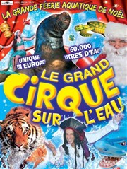 Cirque sur l'eau de Noël | - Nantes Chapiteau le Cirque sur l'eau  Nantes Affiche