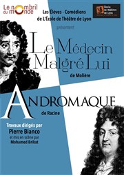 Le médecin malgré lui + Andromaque Thtre le Nombril du monde Affiche