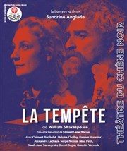 La Tempête Thtre du Chne Noir - Salle Lo Ferr Affiche