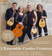 L'Ensemble Cordes Croisées Thtre de Nesle - grande salle Affiche