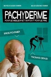 Pachyderme La Basse Cour Affiche