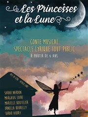 Les Princesses et la Lune La Gidouille Affiche