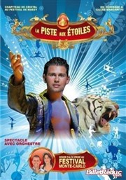 Cirque La Piste aux Etoiles | - Evreux Chapiteau La piste aux toiles  Evreux Affiche