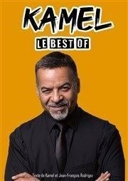 Kamel dans Le Best Of L'Antidote Affiche