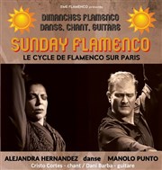 Sunday Flamenco Pniche Antipode Affiche