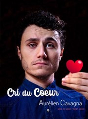 Aurélien Cavagna dans Cri du coeur La Basse Cour Affiche