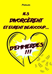 Ils divorcèrent et eurent beaucoup... d'emmerdes ! Le Bourvil Affiche