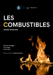 Les Combustibles Thtre Mtro Ateliers Affiche