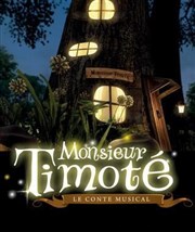 Monsieur Timoté Le Capitole - Salle 1 Affiche