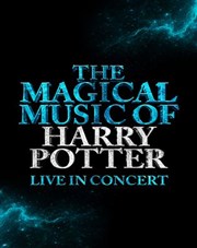 The Magical Music of Harry Potter | Lyon Bourse du Travail Lyon Affiche