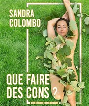 Sandra Colombo dans Que faire des cons ? Thtre Notre Dame - Salle Noire Affiche