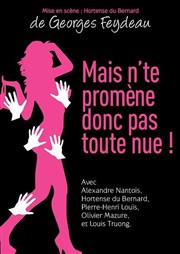 Mais n'te promène donc pas toute nue Akton Thtre Affiche