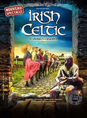 Irish Celtic Le Dme de Paris - Palais des sports Affiche