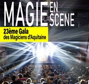 Magie en scène 2023 Centre Culturel Palmer Affiche