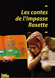 Les Contes de l'Impasse Rosette Thtre Astral-Parc Floral Affiche