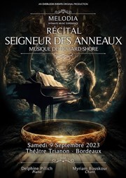 Hommages Seigneur des Anneaux Le Trianon Affiche