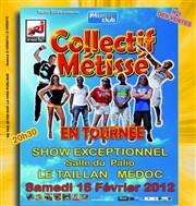 Show Collectif Metisse Le Palio Affiche