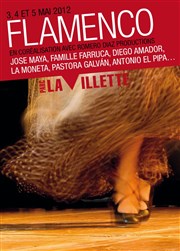 Flamenco Grande Halle de la Villette Affiche