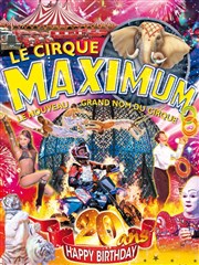 Le Cirque Maximum dans Happy Birthday | - Castres Chapiteau Maximum  Castres Affiche