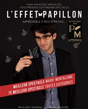 L'effet papillon Tho Thtre - Salle Plomberie Affiche