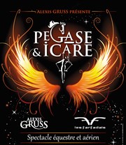 Cirque Alexis Gruss dans Pégase & Icare Znith d'Orlans Affiche