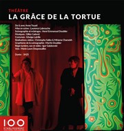 La grâce de la tortue, ou comment je n'ai pas réussi à rater ma vie Le 100ecs Affiche