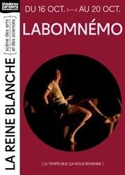 Labomnémo (Le temps que ça nous revienne) La Reine Blanche Affiche