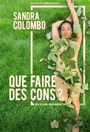 Sandra Colombo dans Que faire des cons ? Thtre du Marais Affiche