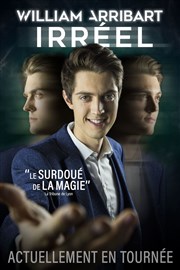 William Arribart dans Irréel La Forgerie Affiche