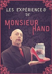 Les expériences de M. Hand Divine Comdie Affiche