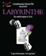 Sébastien Thill dans Labyrinthe Le Double Fond Affiche