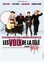 Les voix de la télé chantent Hallyday Thtre Sbastopol Affiche