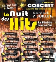 La nuit des hits 2012 La Pinde Gould Affiche