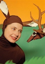 Bestiaire d'amour | avec Isabella Rossellini Avant-Seine - Thtre de Colombes Affiche