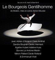 Le Bourgeois Gentilhomme Thtre de Nesle - grande salle Affiche