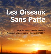 Les oiseaux sans patte Tho Thtre - Salle Plomberie Affiche