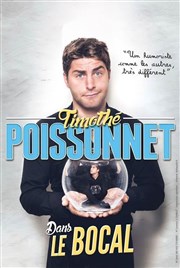 Timothé Poissonnet Dans le bocal L'Appart Caf - Caf Thtre Affiche