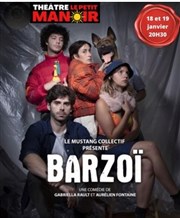 Barzoi Thtre Le Petit Manoir Affiche