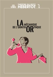 La mécanique de l'ornithorynque Thtre du Petit Hbertot Affiche