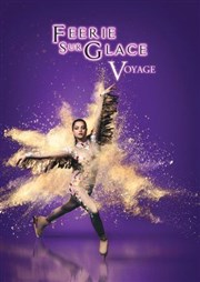 Féerie sur glace ; Voyage AccorHotels Arena - La Patinoire Affiche