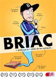 Briac dans un génie ordinaire L'Art D Affiche