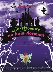 Le monstre au bois dormant Le Royal Comdie Affiche