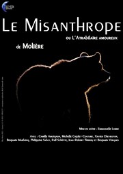 Le Misanthrope ou l'Atrabilaire amoureux Espace du Thiey Affiche