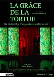 La grâce de la tortue ou comment je n'ai pas réussi à rater ma vie Thtre Darius Milhaud Affiche