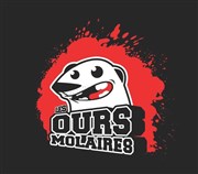 Catch Impro des Ours Molaires Maison pour tous George Sand Affiche