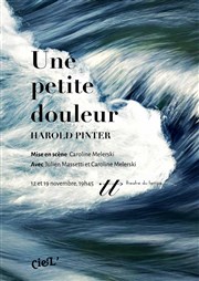 Une petite douleur Thtre du Temps Affiche