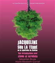 Jacqueline sur la Terre ou le syndrome de Newton Cirque Electrique - La Dalle des cirques Affiche