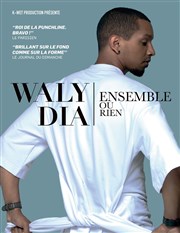 Waly Dia dans Ensemble ou rien Palais des congrs du Futuroscope Affiche